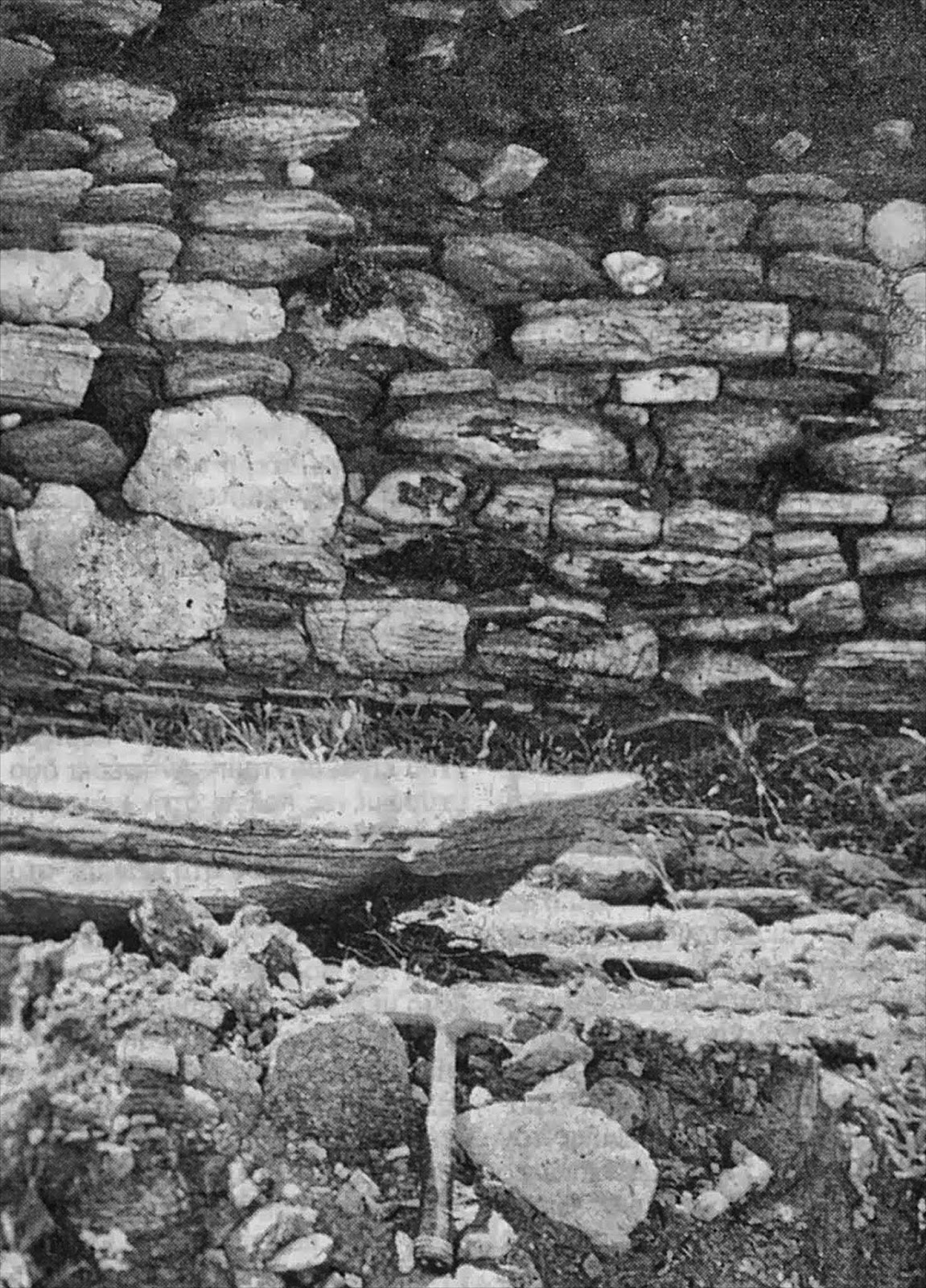 2020-03-15at11-07-17