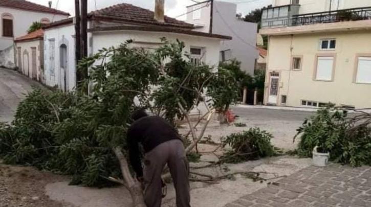 Λέσβος: Θυελλώδεις άνεμοι, πτώσεις δέντρων και μεγάλες καταστροφές στην Καλλονή